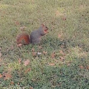 Meet your Posher, Liz